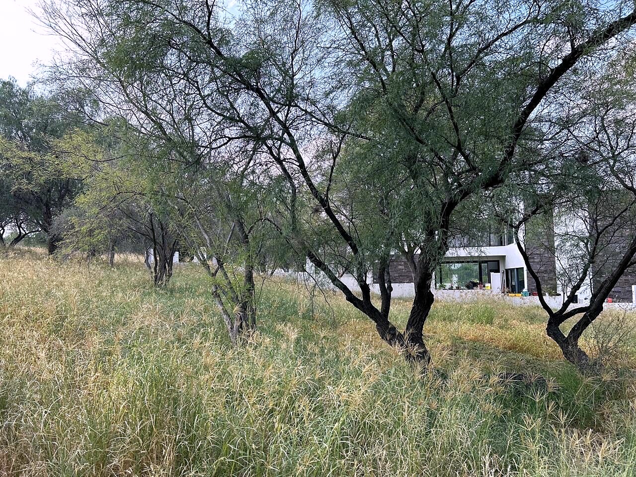 Terreno en Eden los sabinos — Terreno